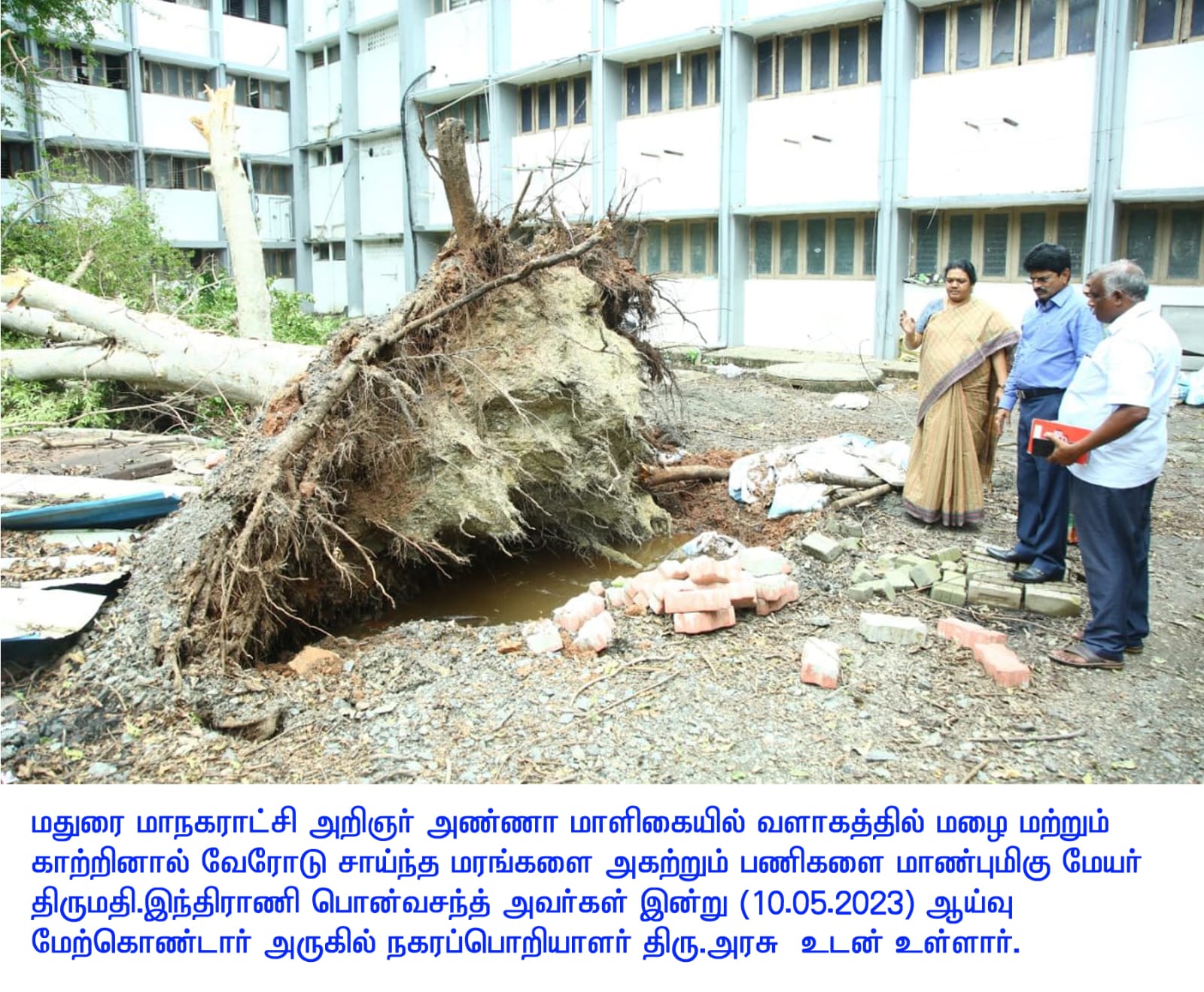 madurai-mayor-inspects-rain-damaged-roads-and-areas-in-city-lotus